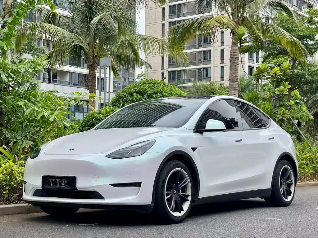 Tesla Model Y 2021 — фото 10