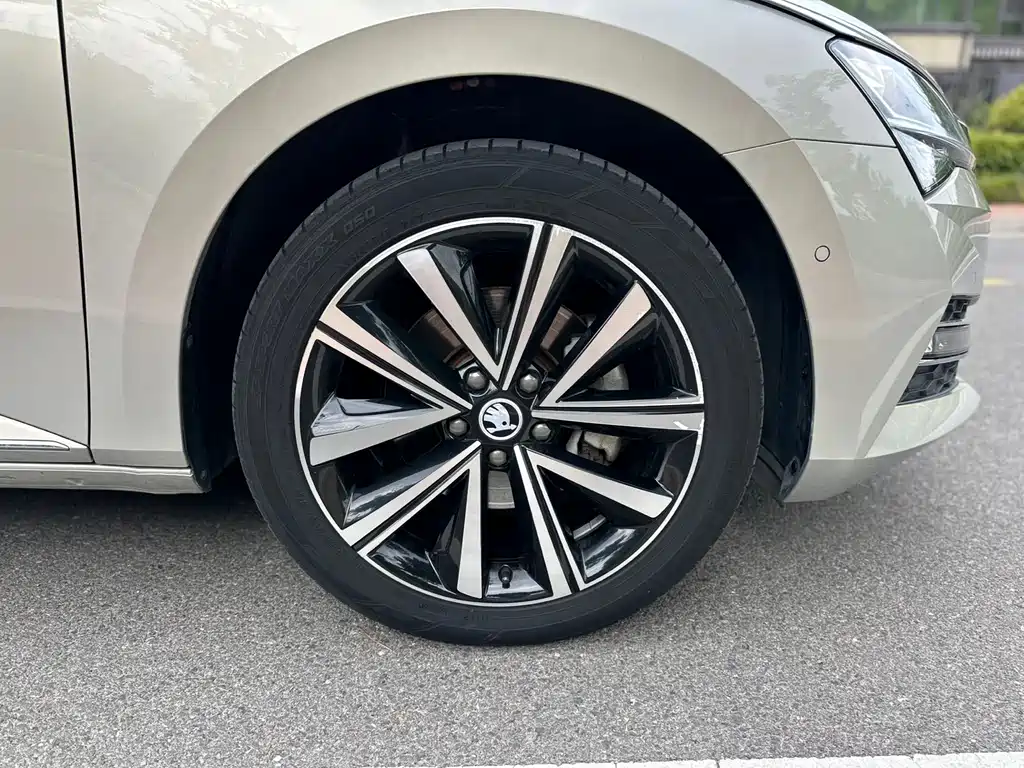 Skoda Speedy 2023 — фото 15