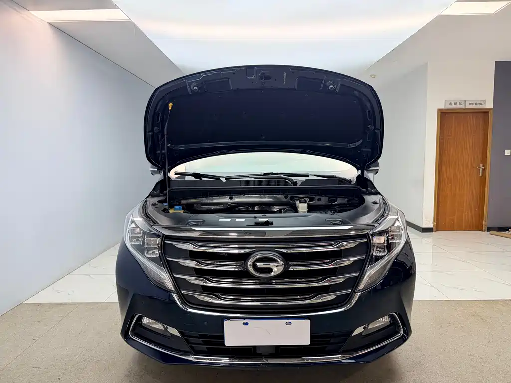 GAC Motor Trumpchi M8 2019 — фото 23