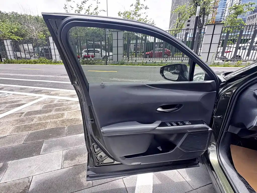Lexus UX New Energy 2021 — фото 22