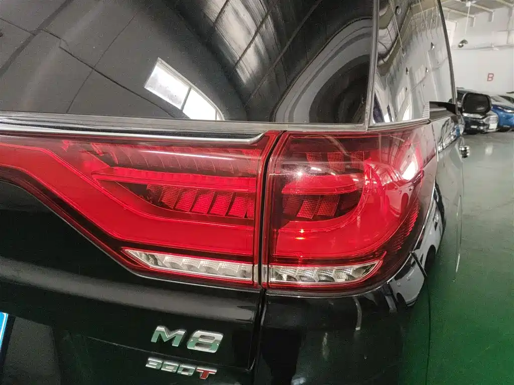 GAC Motor Trumpchi M8 2022 — фото 24