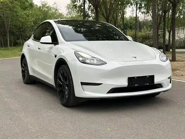 Tesla Model Y 2021