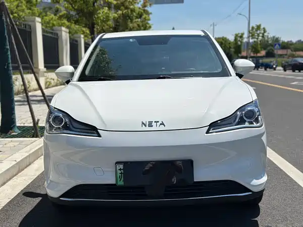 Neta V 2022