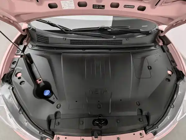 Neta V 2022