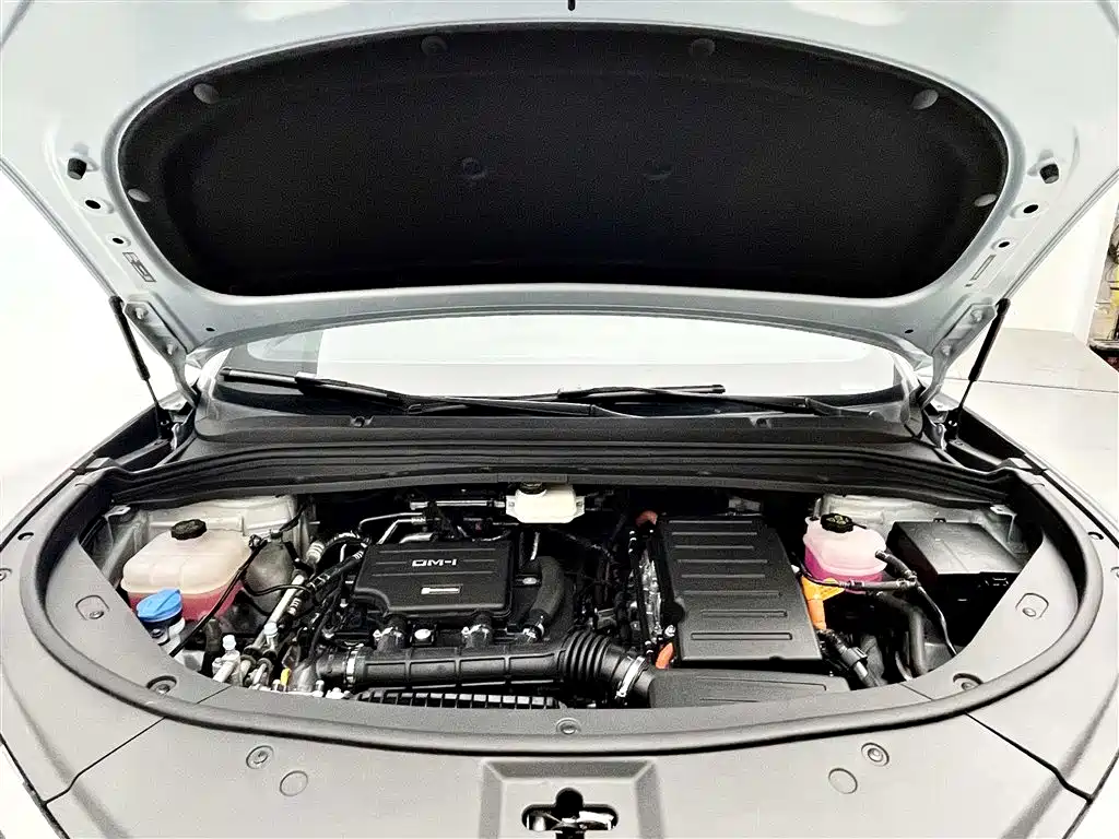 BYD L DM-i 2025 — фото 15