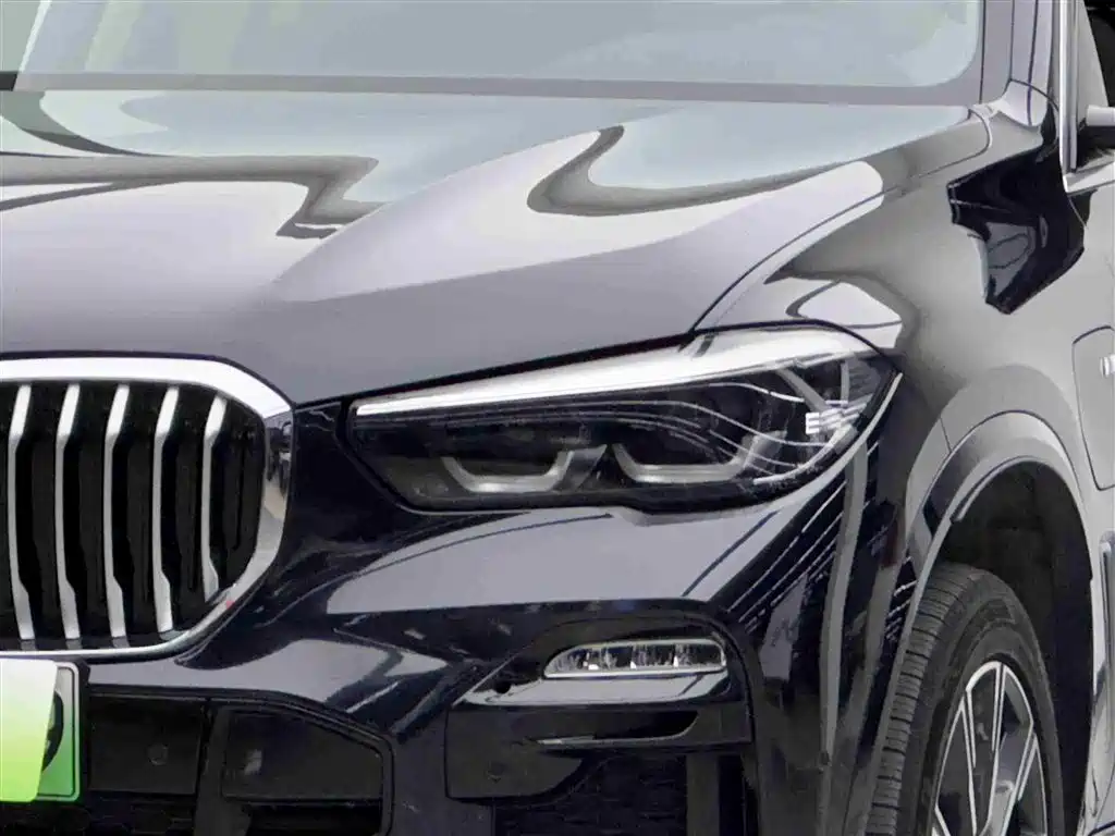 BMW X5 New Energy 2021 — фото 3