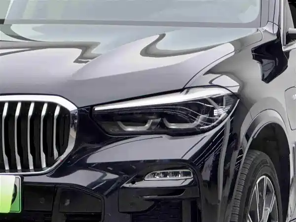 BMW X5 New Energy 2020