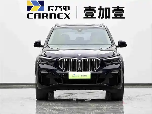 BMW X5 New Energy 2020
