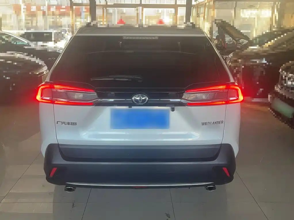 Toyota Wildlander 2021