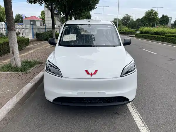 Wuling Hongguang New Energy 2026