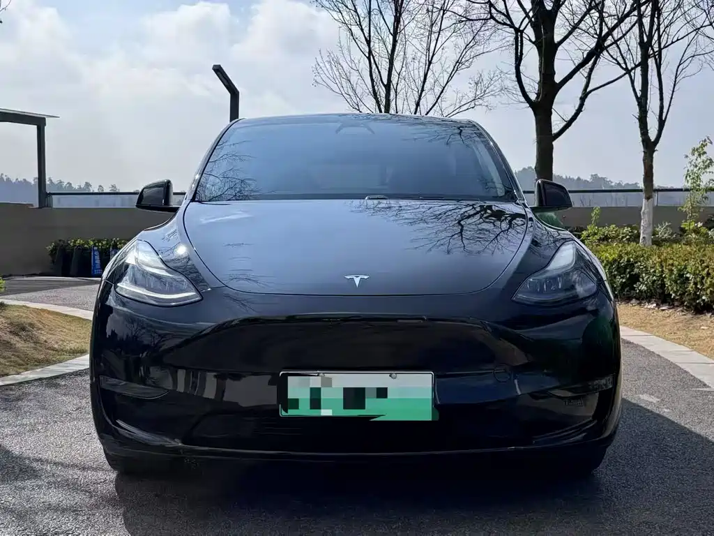 Tesla Model Y 2021 — фото 2