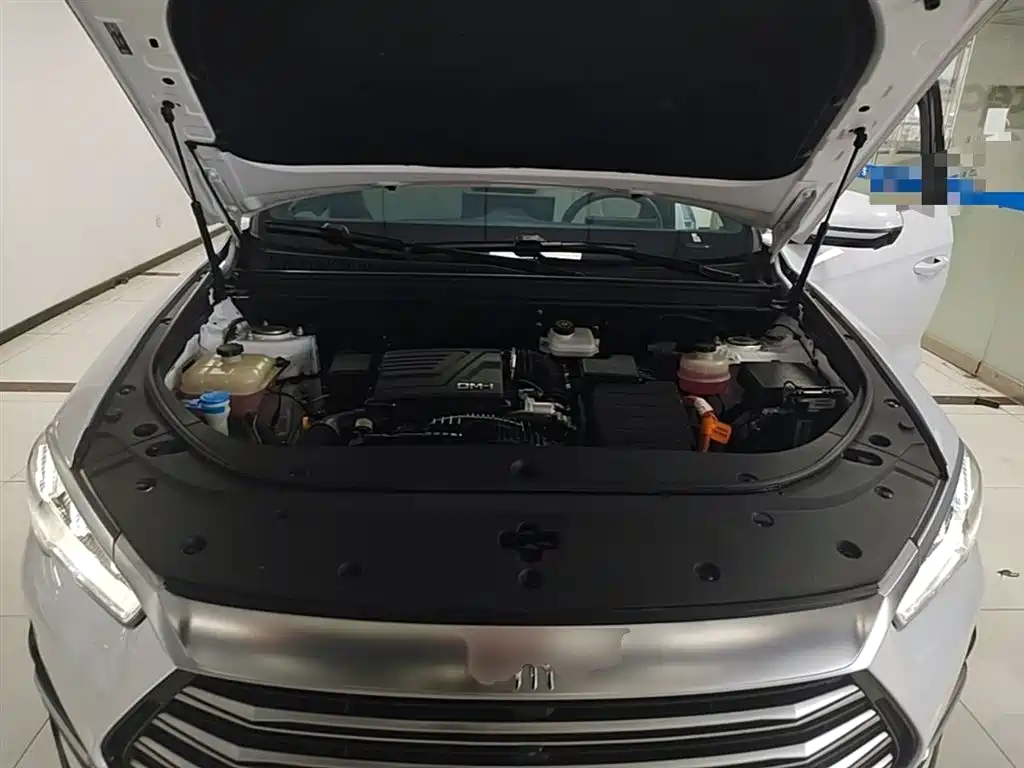 BYD Pro New Energy 2023 — фото 20