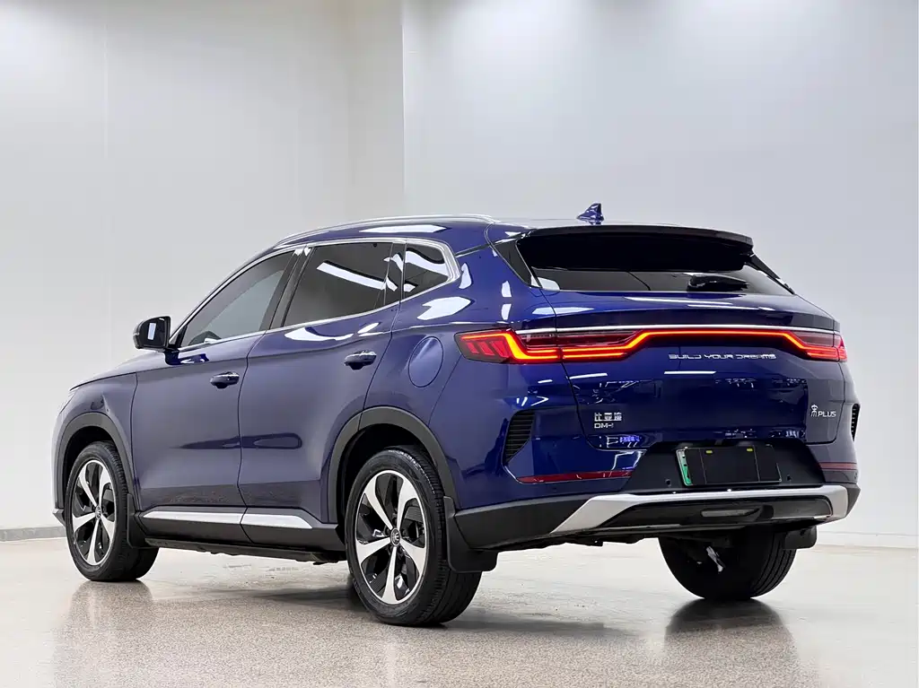BYD PLUS New Energy 2022 — фото 5