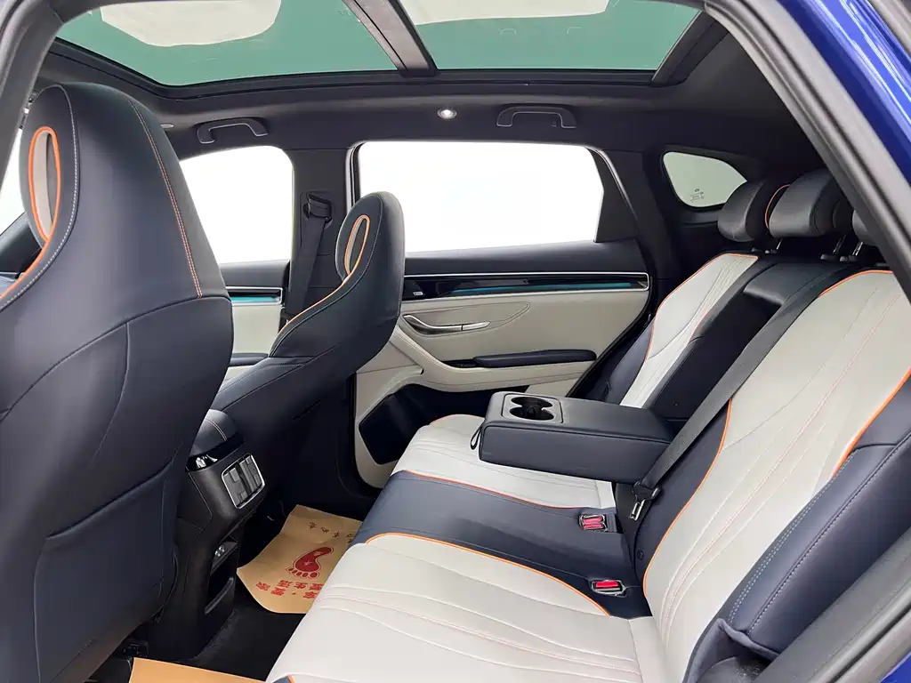 BYD PLUS New Energy 2022 — фото 17