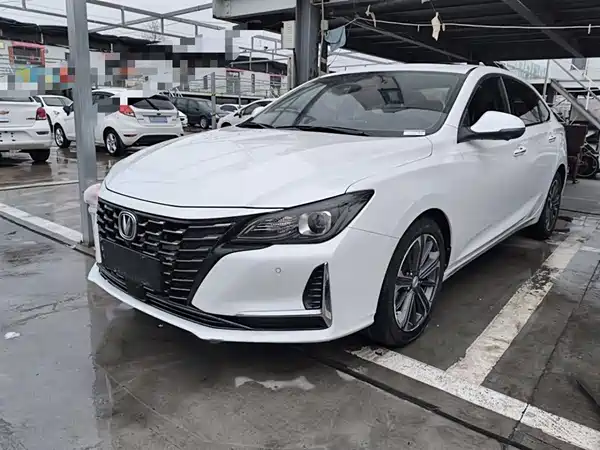 Changan Ruicheng CC 2022