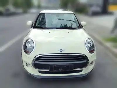 MINI MINI 2019