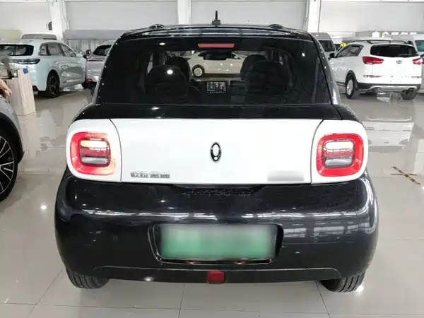 Ora Black Cat 2021