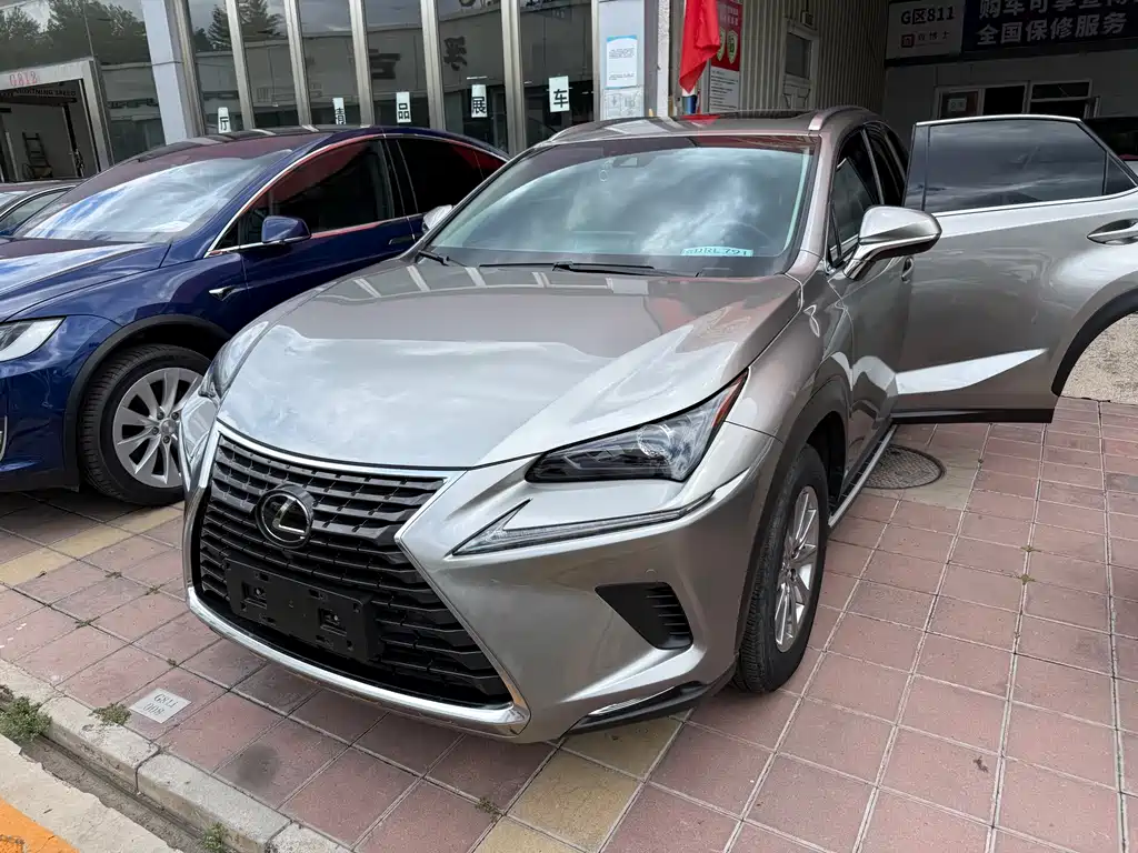 Lexus NX 2021 — фото 1