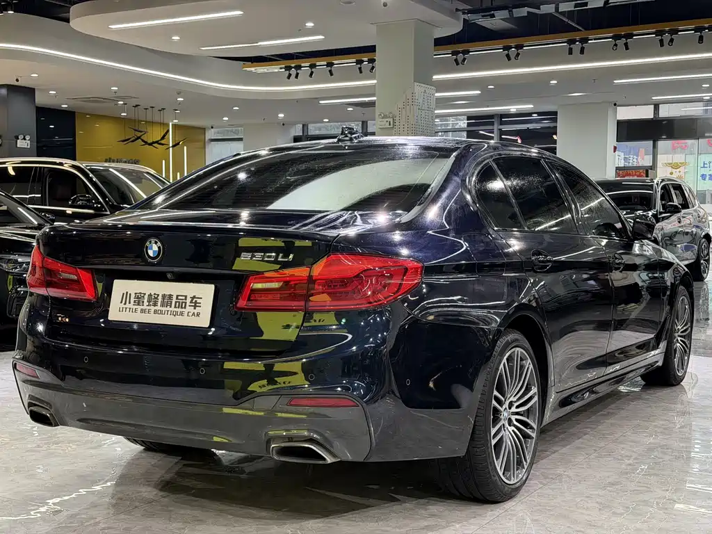 BMW 5 Series 2019 — фото 14