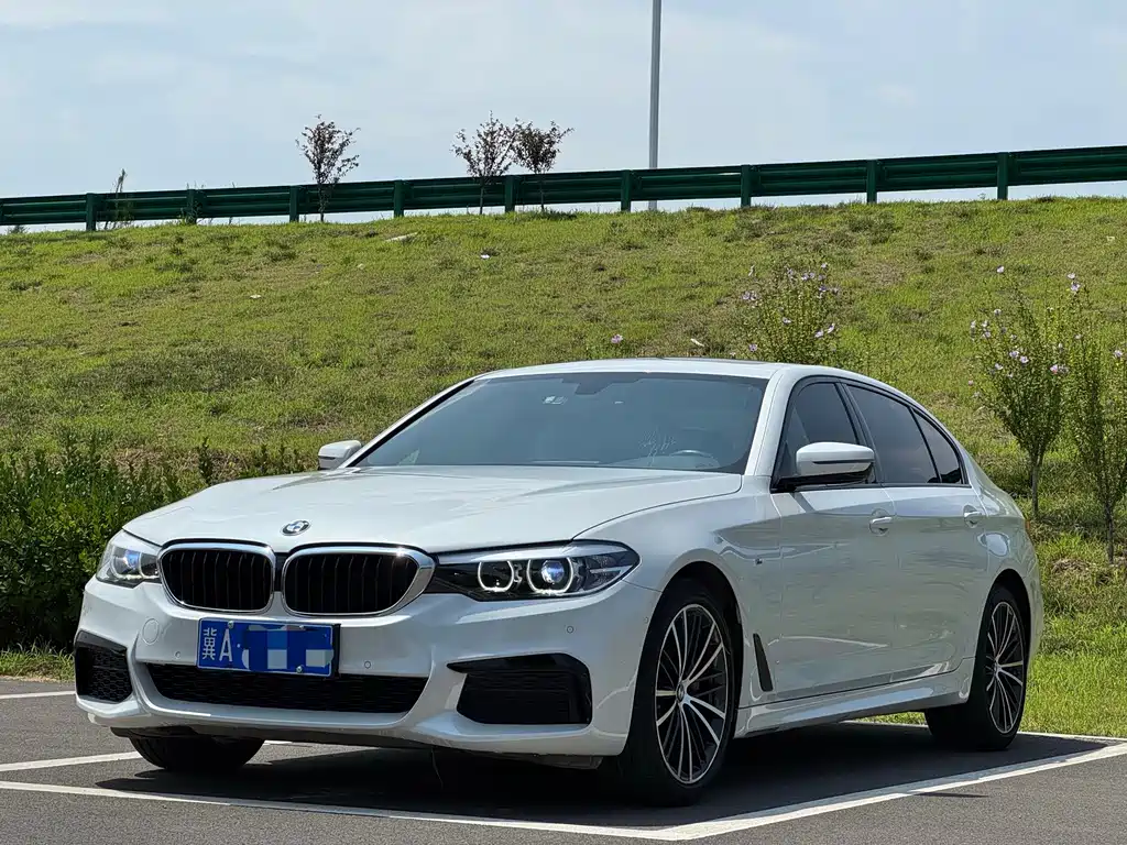 BMW 5 Series 2019