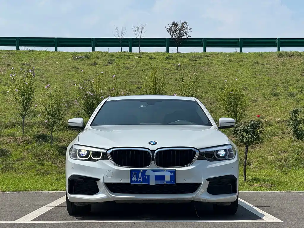 BMW 5 Series 2019