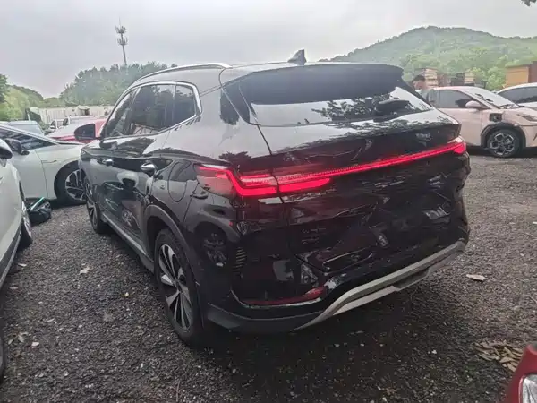 BYD Song PLUS New Energy 2024