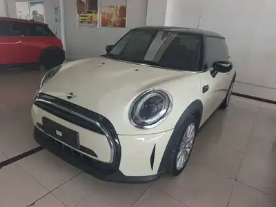 MINI MINI 2021
