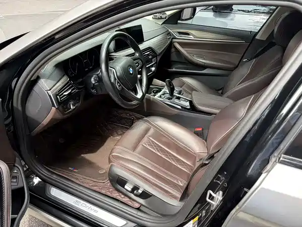 BMW 5 Series New Energy 2019