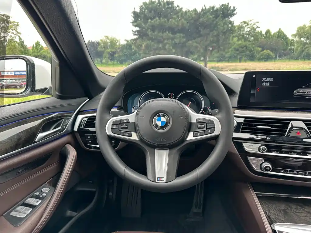 BMW 5 Series 2018 — фото 20