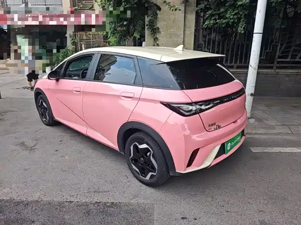 BYD Dolphin 2021