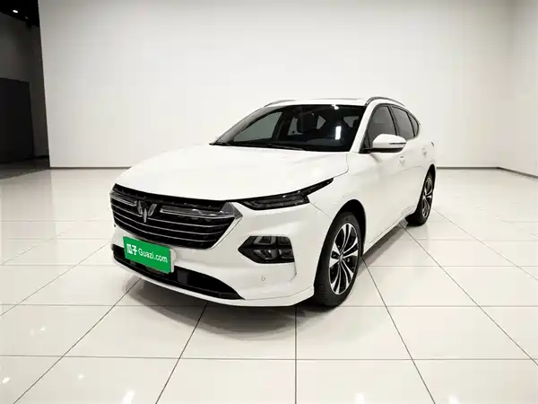 Wuling Victory 2020