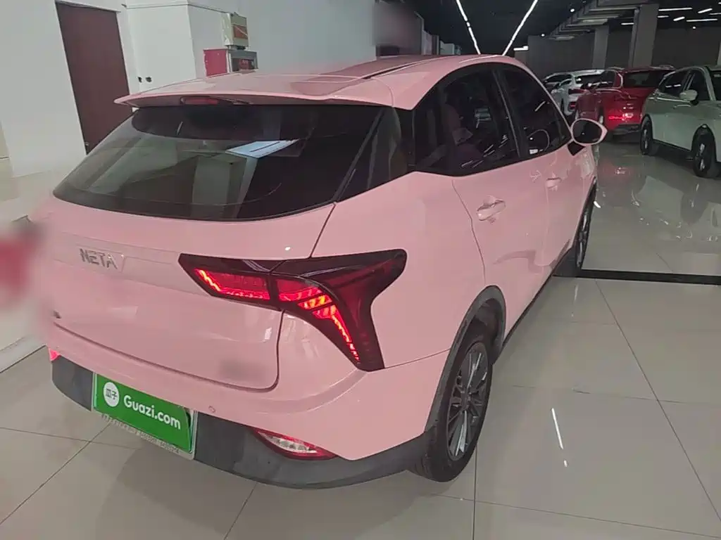 Neta V 2022