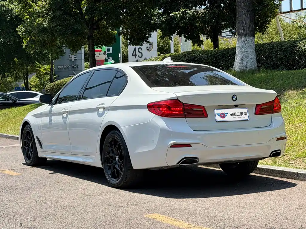 BMW 5 Series 2019