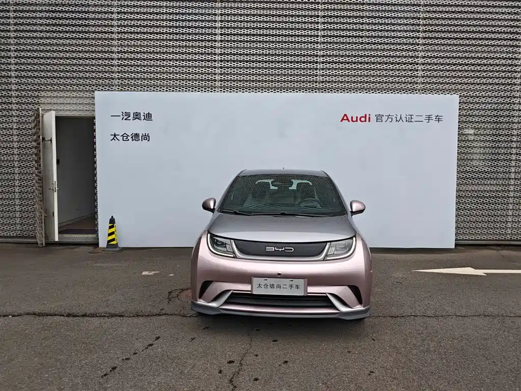BYD Dolphin 2021