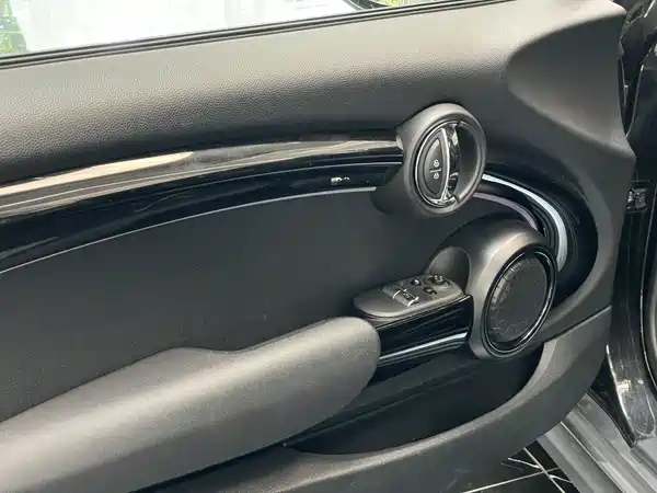 MINI MINI 2022
