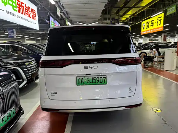 BYD Summer 2025