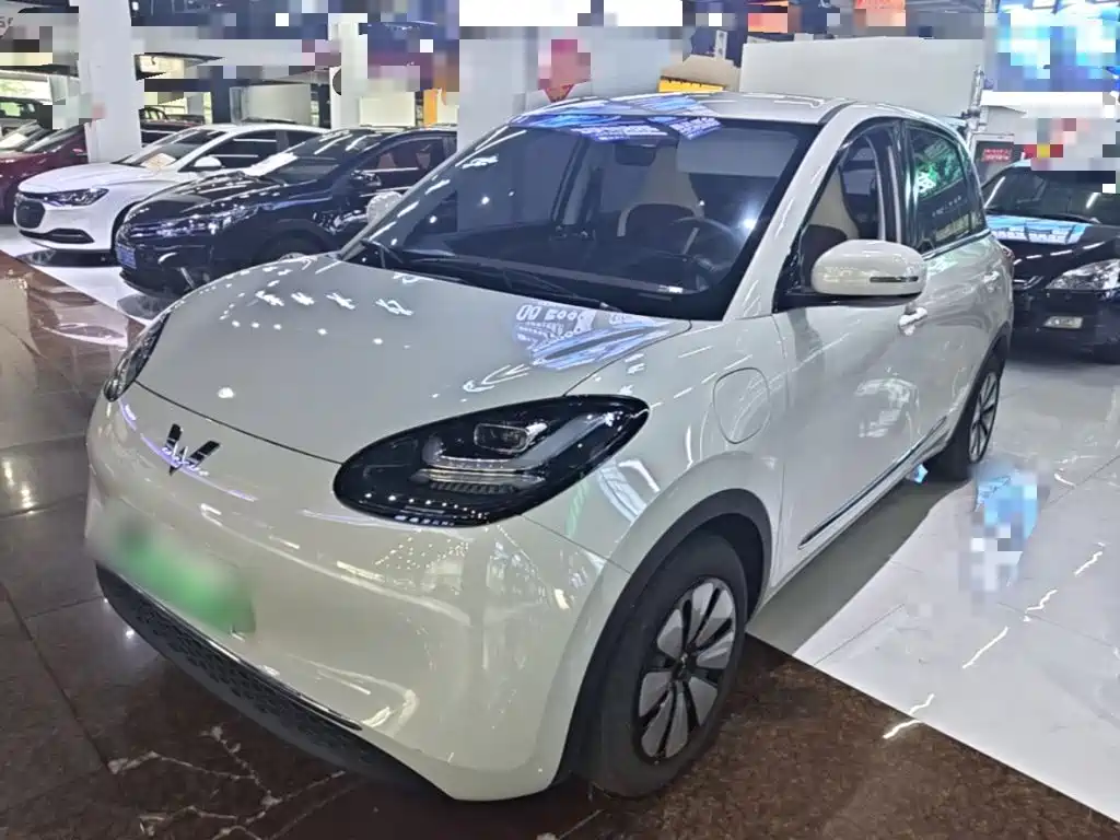 Wuling Bingo 2024
