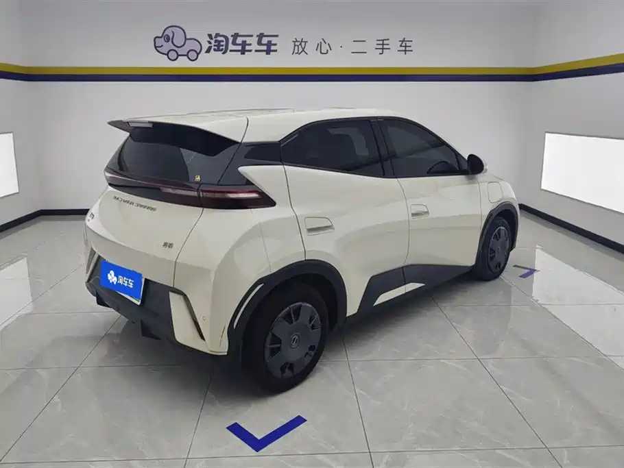 BYD Seagull 2024