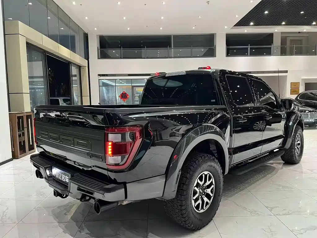Ford F-150 Raptor 2023 — фото 14