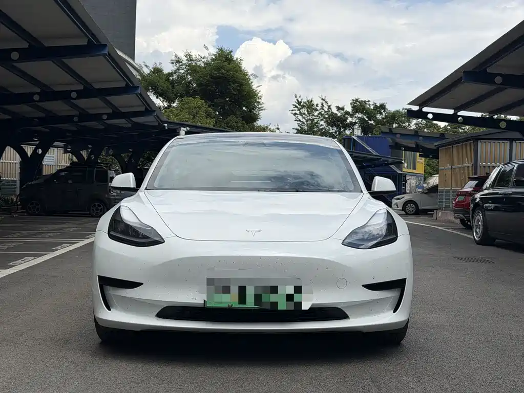 Tesla Model 3 2021 — фото 2