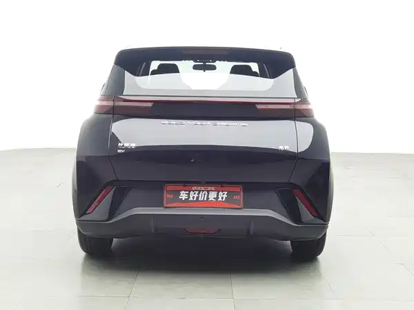 BYD Seagull 2024
