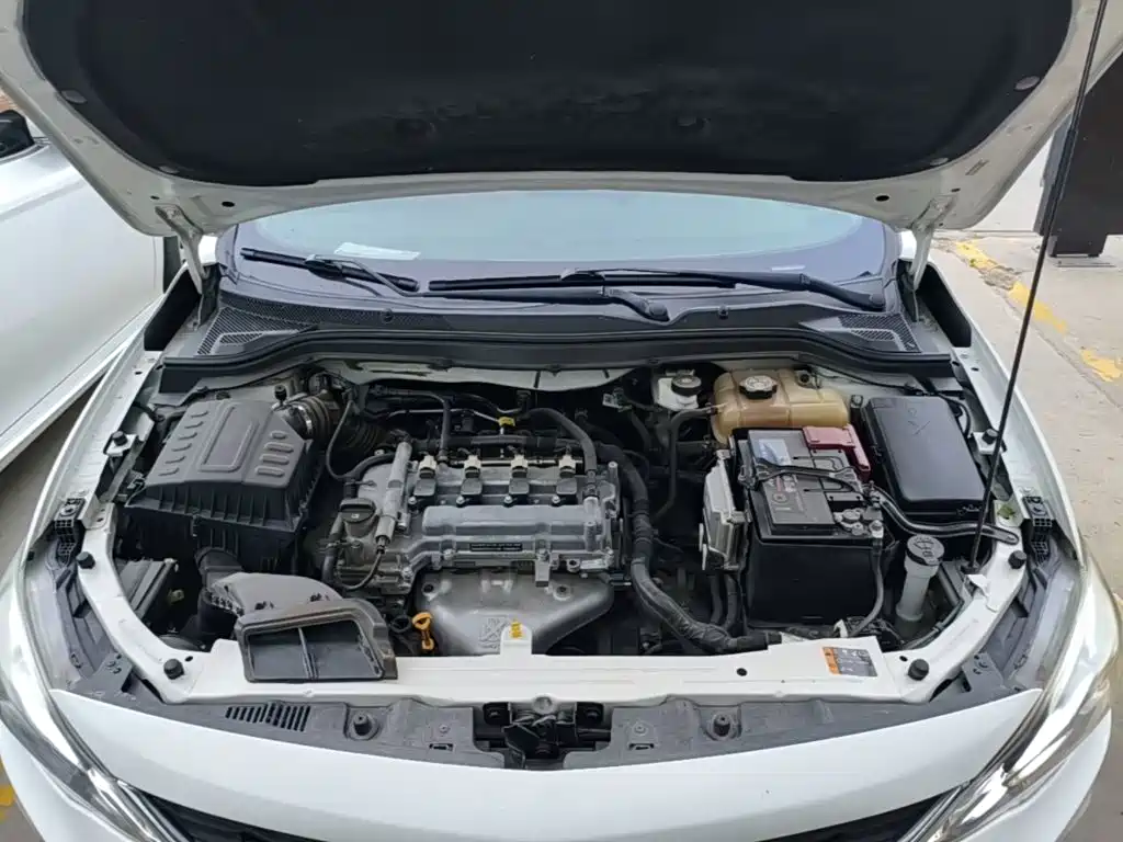 Chevrolet Cavalier 2018 — фото 20