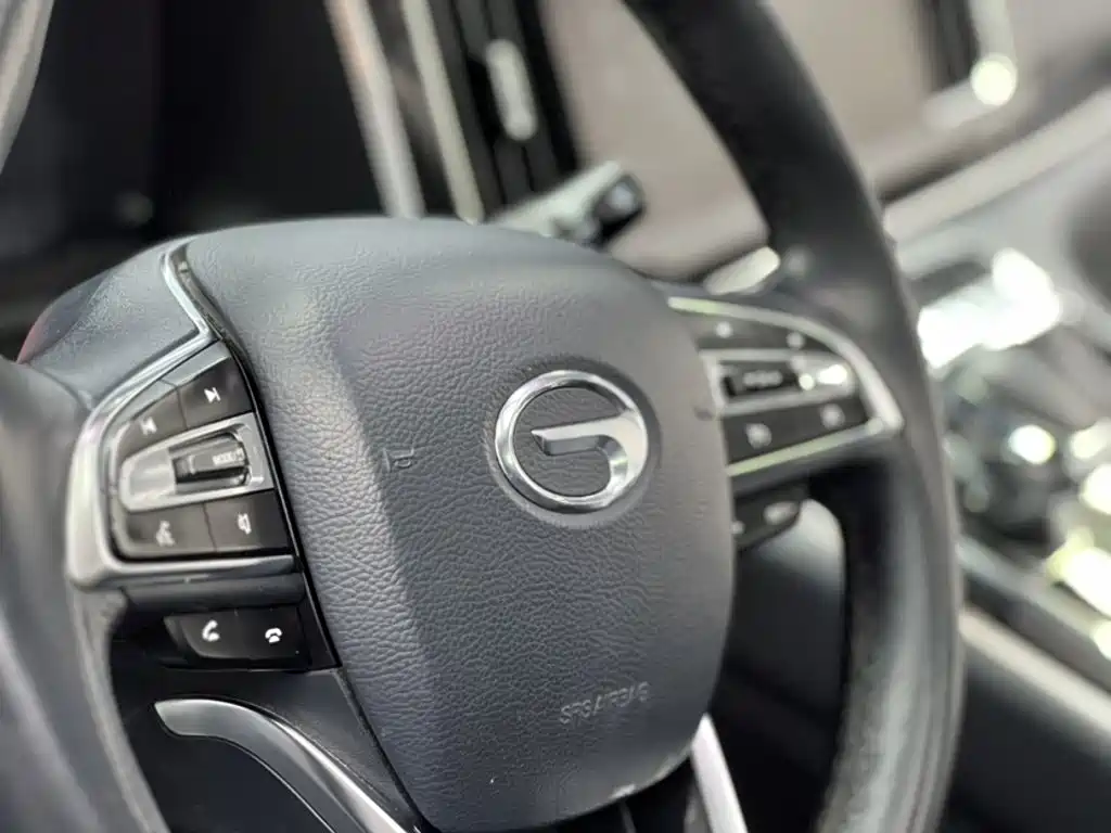 GAC Trumpchi M8 2023 — фото 22