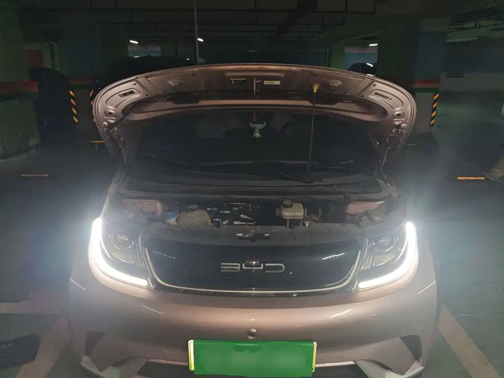 BYD Dolphin 2023 — фото 11
