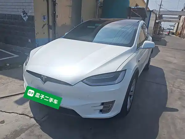 Tesla Model X 2020