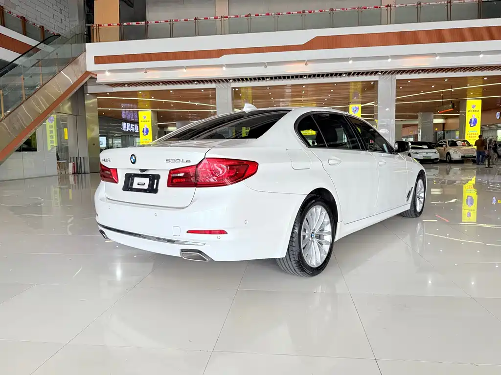 BMW 5 Series New Energy 2019