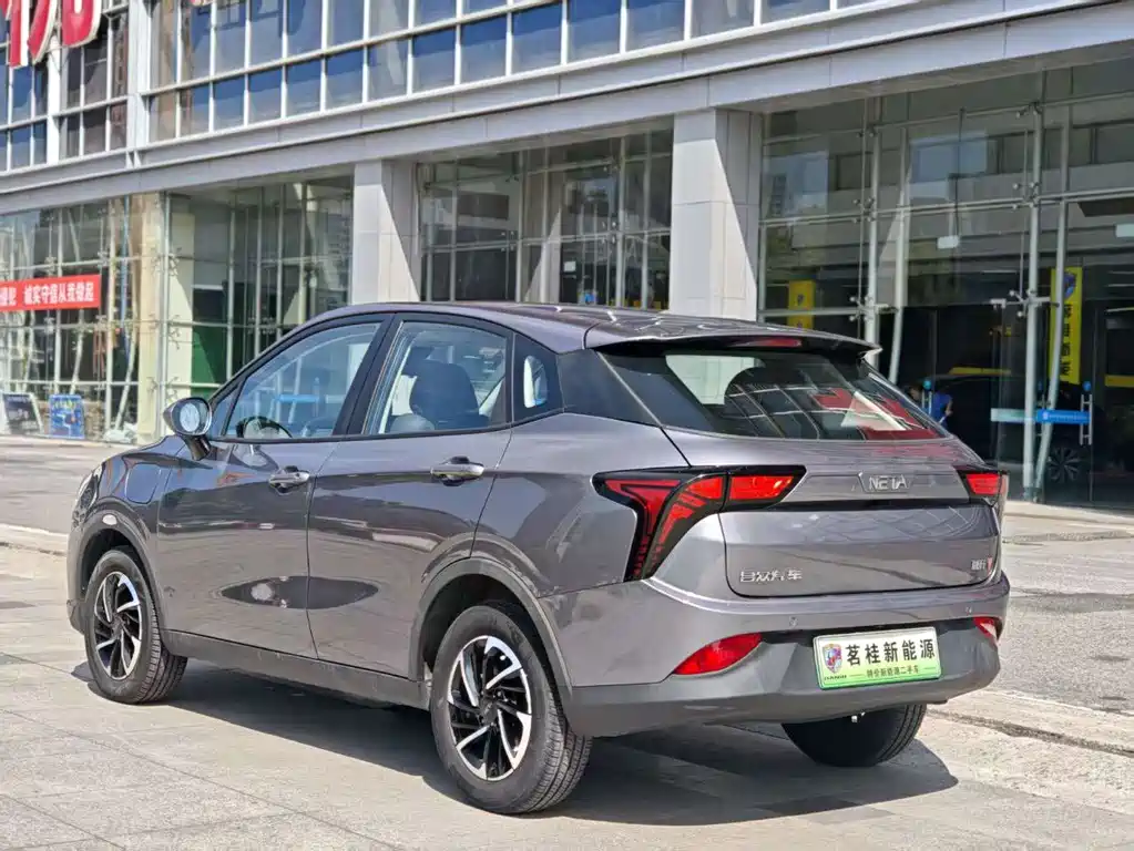Neta V 2021