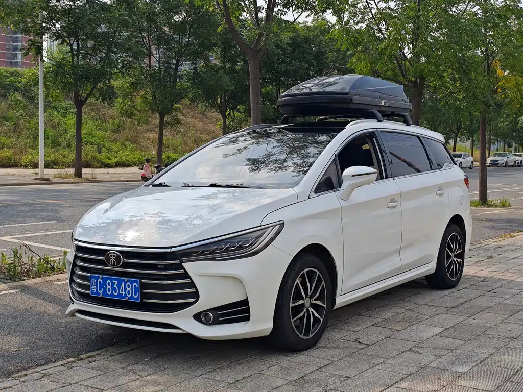 BYD MAX 2019