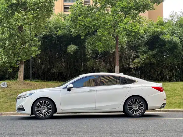 Hongqi H5 2019