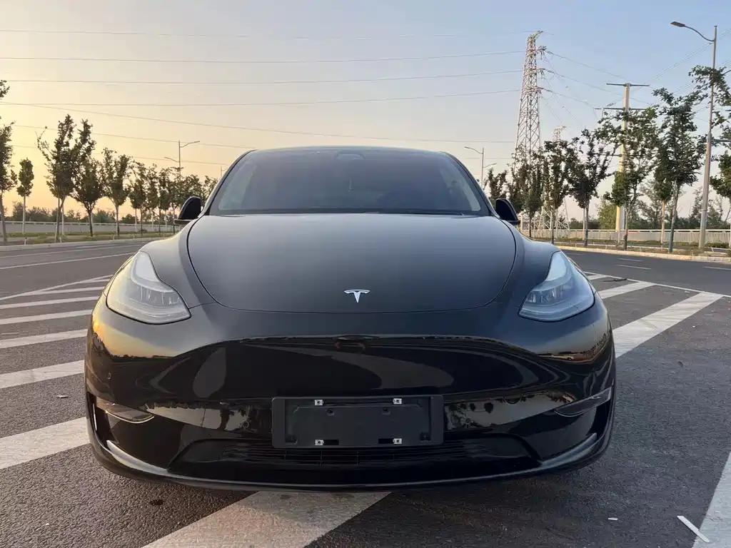 Tesla Model Y 2021 — фото 2
